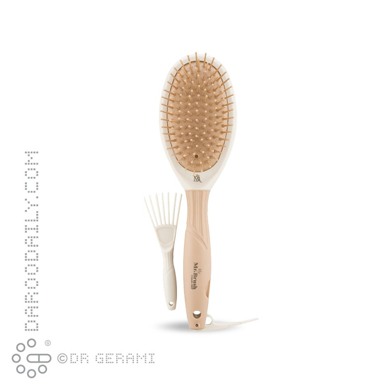 برس مو بیضی مستر براش