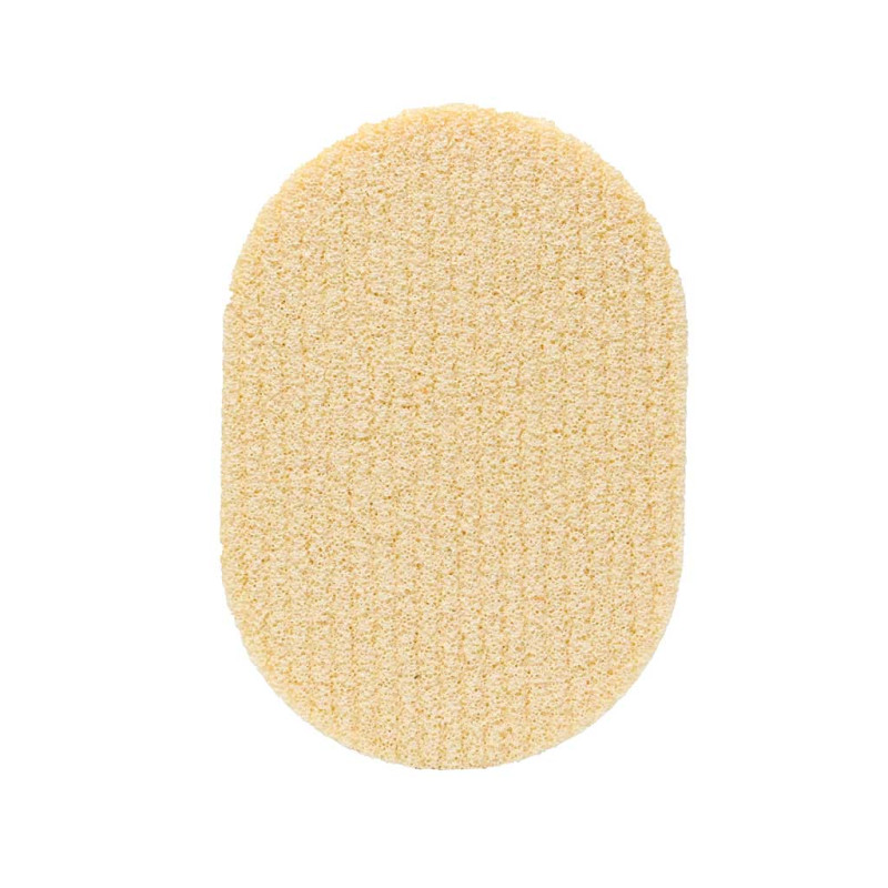 لیف اسفنجی نانو بیول 1 عددی