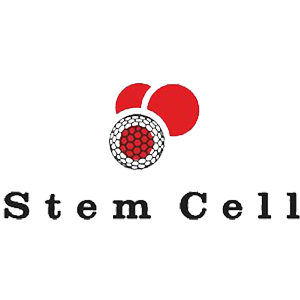 استم سل-Stem cell