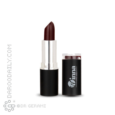 رژ لب جامد مخملی SPF8 وینا شماره 310