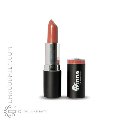 رژ لب جامد مخملی SPF8 وینا شماره 305