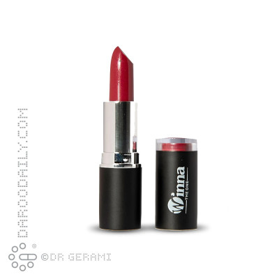 رژ لب جامد مخملی SPF8 وینا شماره 304