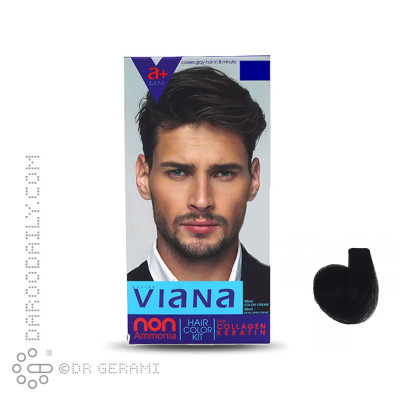 کیت رنگ مو مشکی آقایان ویانا شماره 2.1