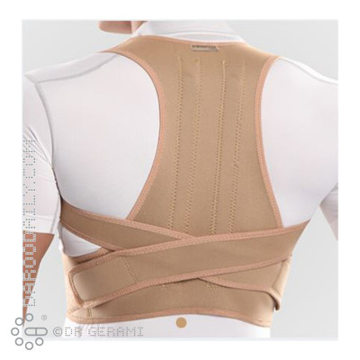 قوزبند نئوپرنی آتل دار پاک سمن سایز خیلی بزرگ