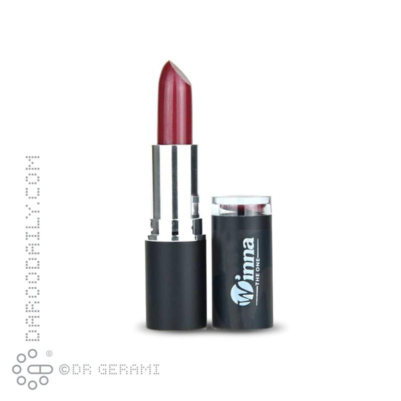 رژ لب جامد مخملی SPF8 وینا شماره 306
