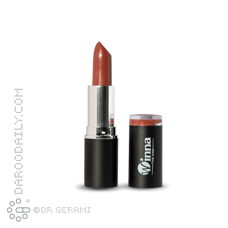 رژ لب جامد مخملی SPF8 وینا شماره 301