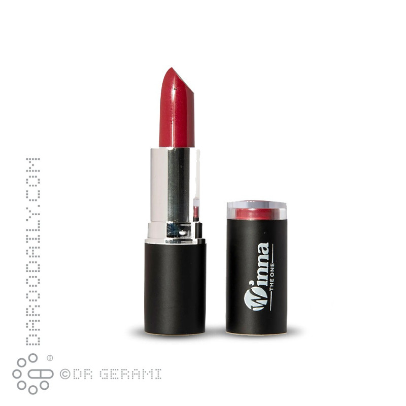 رژ لب جامد مخملی SPF8 وینا شماره 304