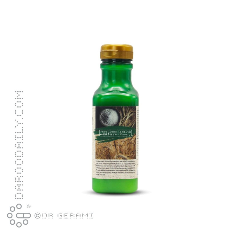 شامپو نرم کننده موهای دارای موخوره حاوی پروتئین گندم هلس تئوری 385 میلی لیتری