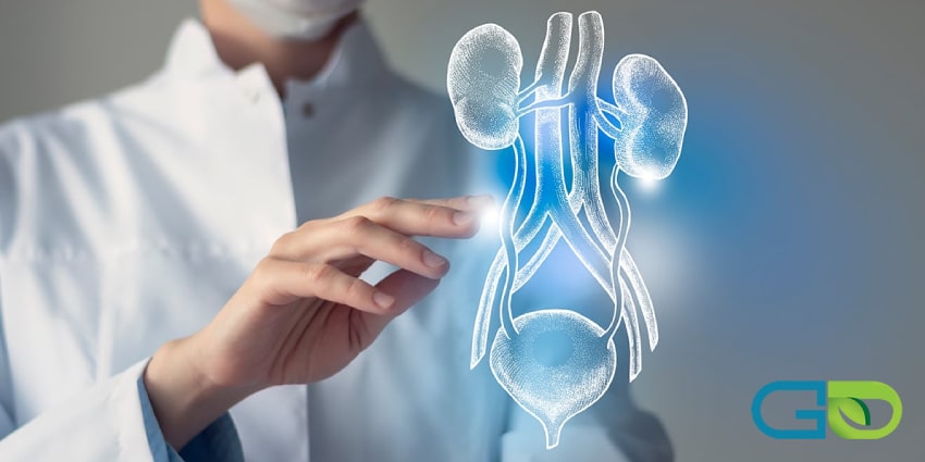 بررسی علت سوزش مجرای ادرار