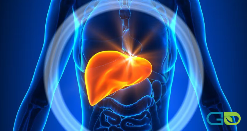 چه خوراکی‌هایی برای کبد مضر هستند؟
