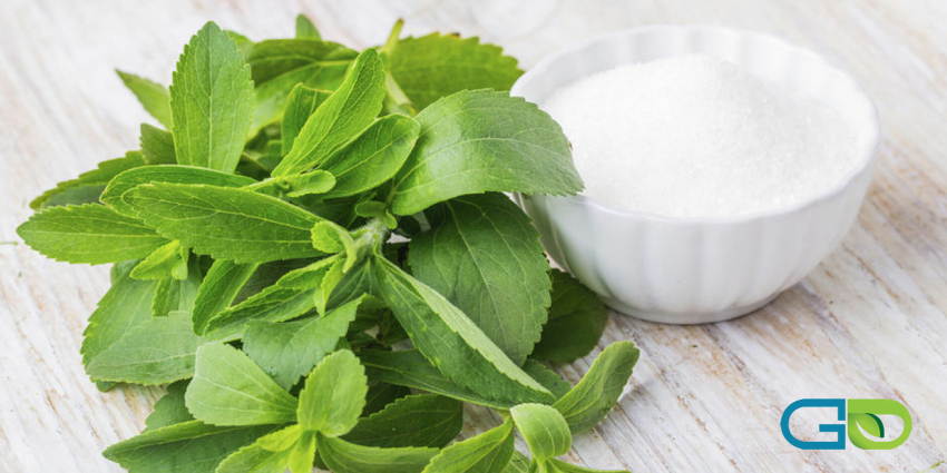 استویا و کاهش وزن و لاغری