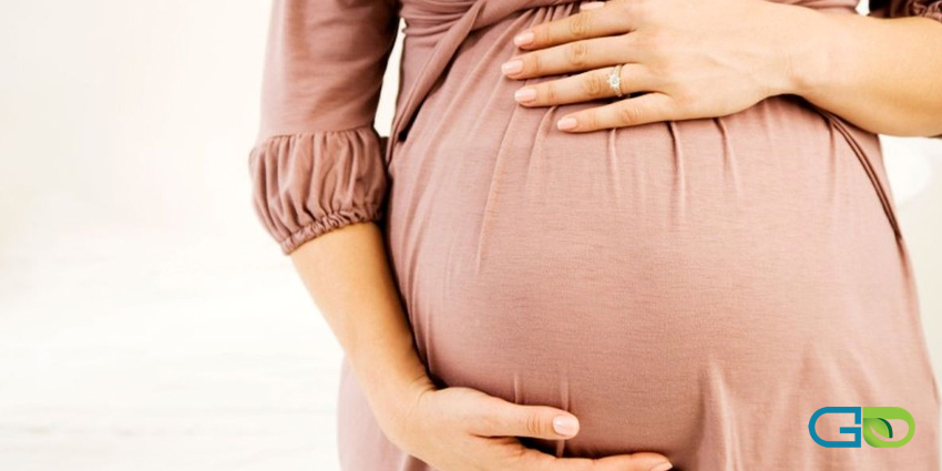 لیدی میل چه فوایدی در دوران بارداری دارد؟