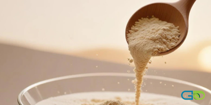 پروتئین وی چیست؟