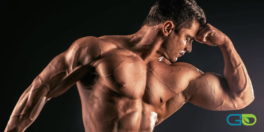 کدام یک برای افزایش وزن بهتر است؟