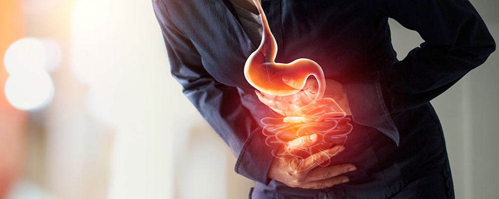 تفاوت بین پروبیوتیک و پری بیوتیک؛ حفظ سلامت سیستم گوارش