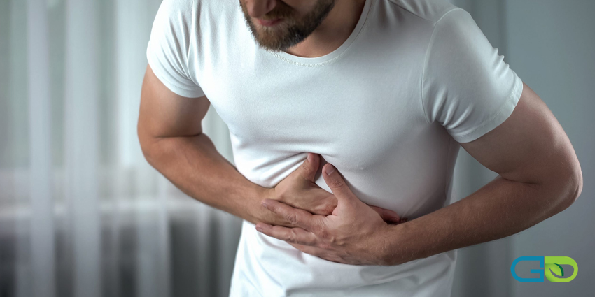 پری بیوتیک چیست؟