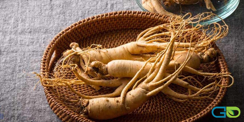 نکات مهم در مصرف مکملهای جینسینگ