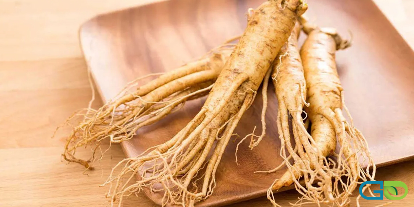 موارد منع مصرف جینسینگ